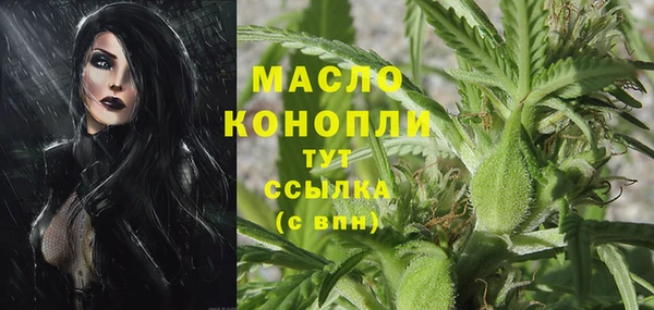 винт Вяземский