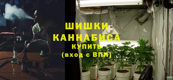 винт Вяземский