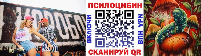 Купить  Липецк  Галлюциногенные грибы GOLDEN TEACHER 