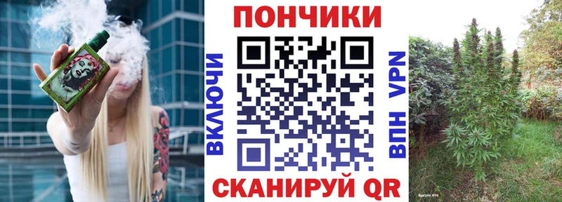 Каннабис сатива  Купить закладки  Липецк 